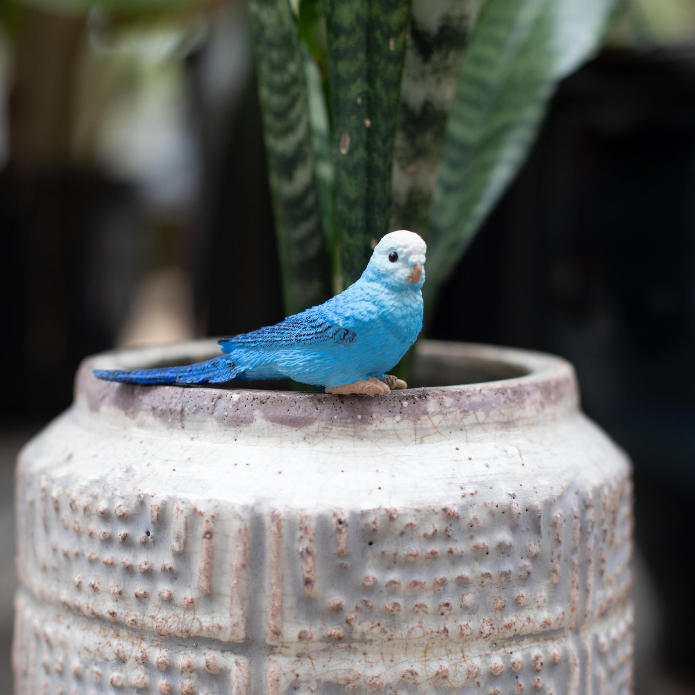 Blue Budgie Toy | Wildlife Animal Toys | Safari Ltd®