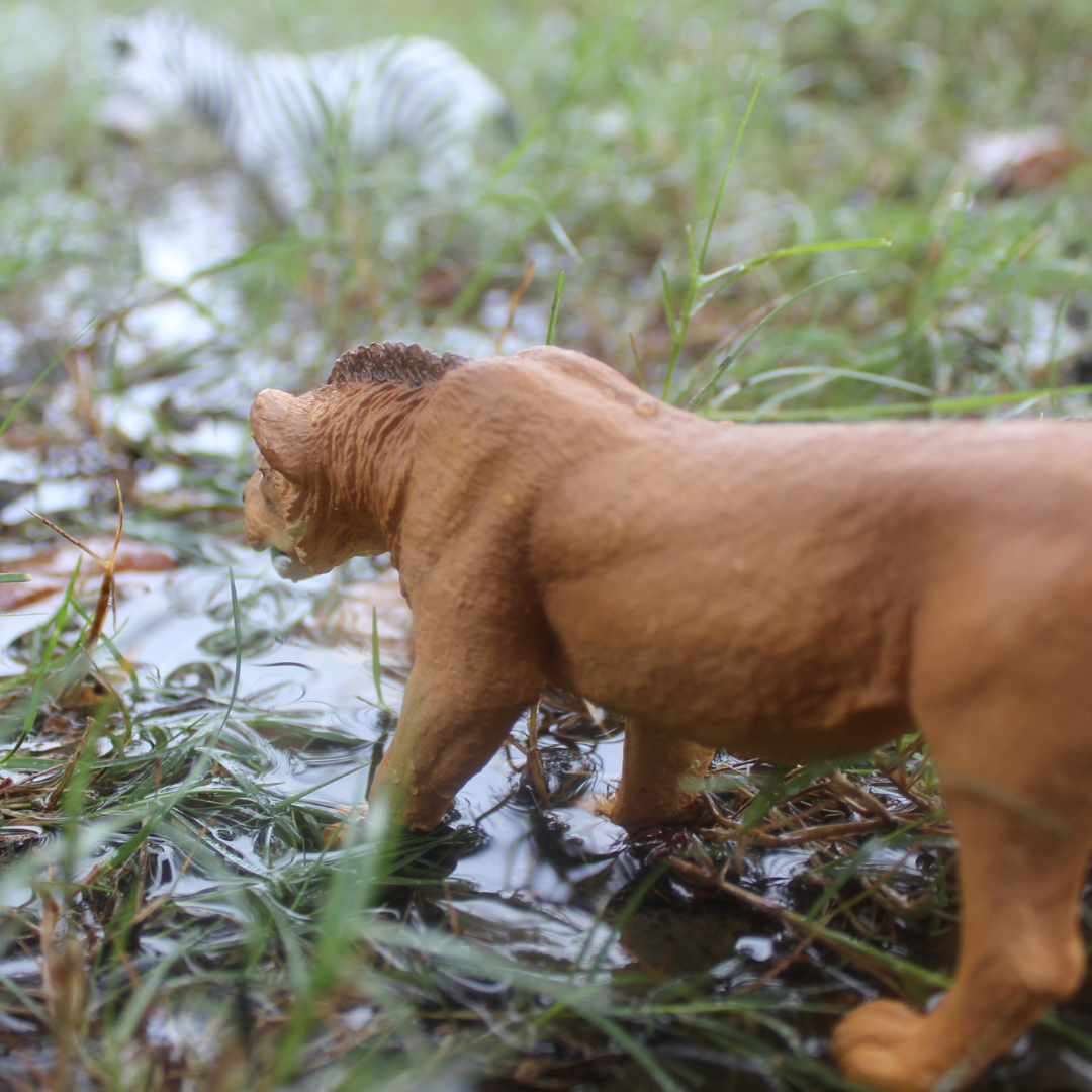 Adolescent Male Lion Toy Figure