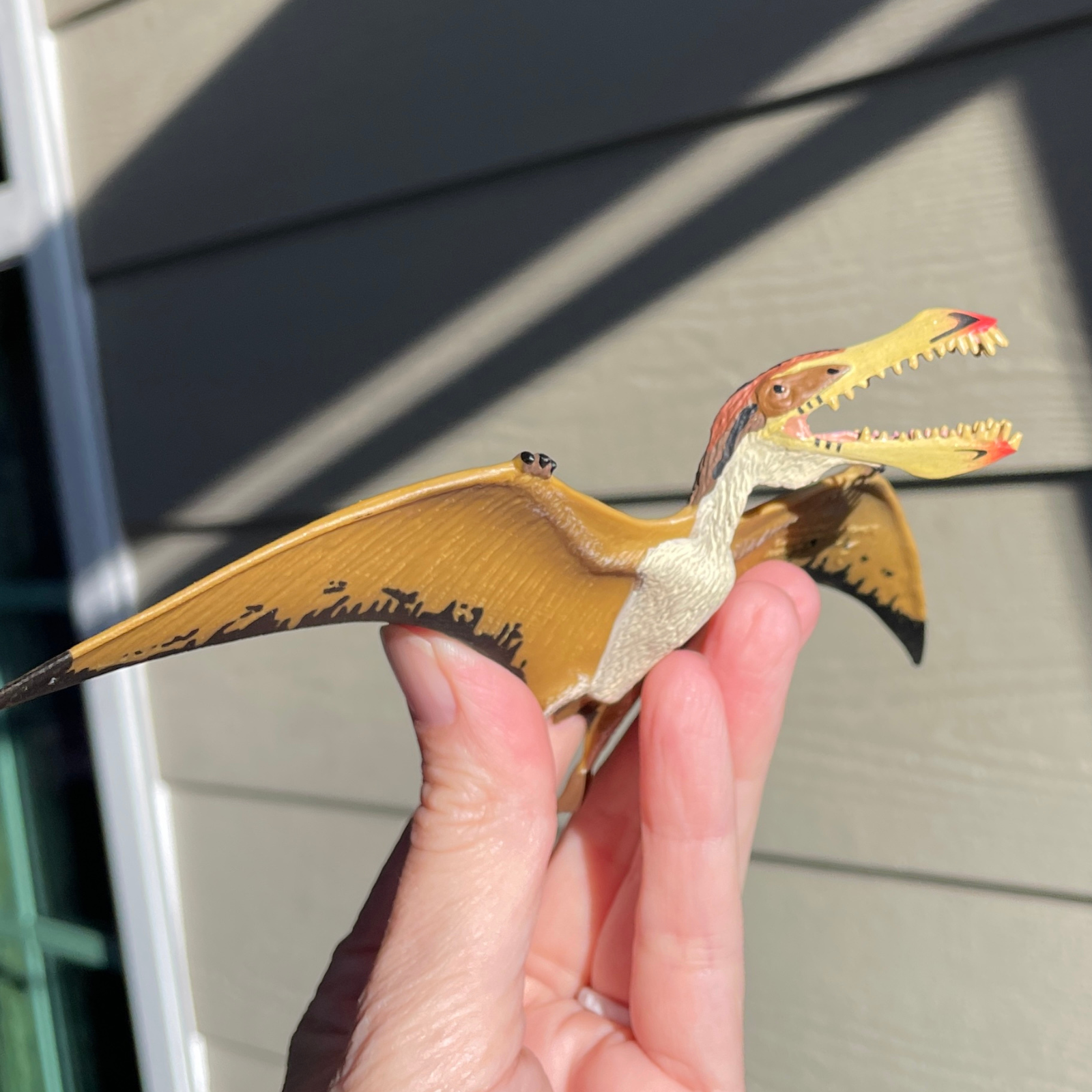 Pterosaur Toy