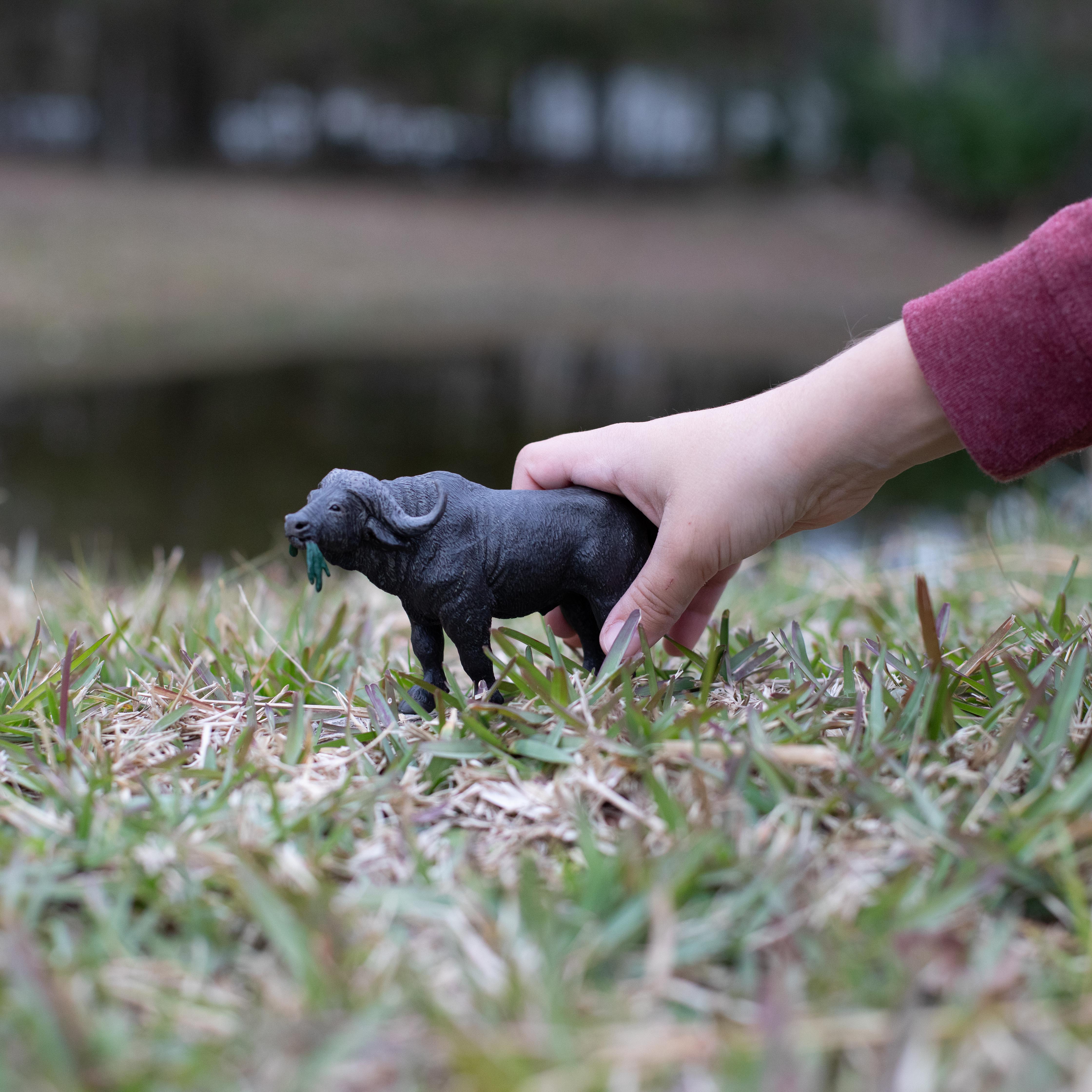 Cape Buffalo Toy | Wildlife Animal Toys | Safari Ltd®