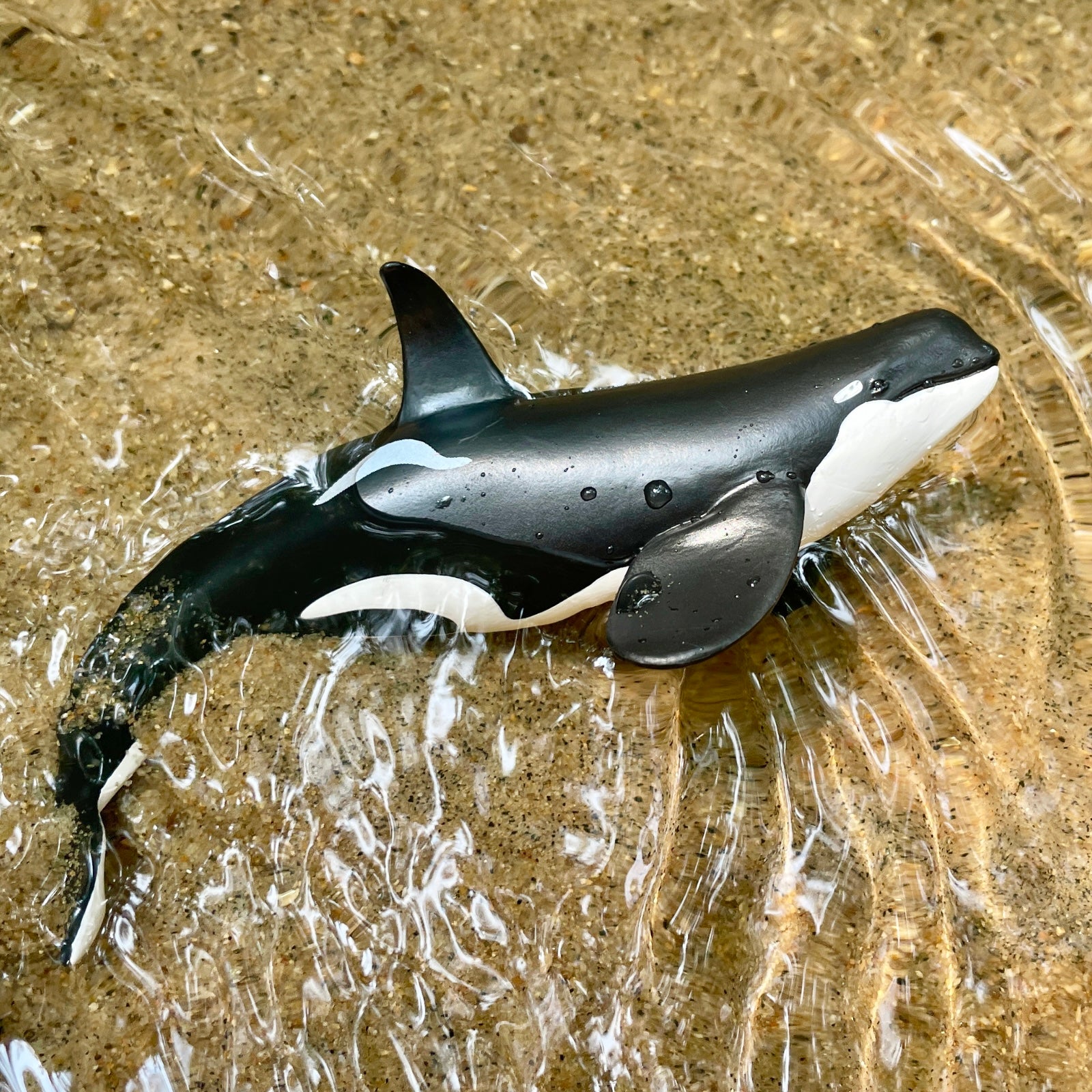 Type D Orca Toy Figure | Wild Safari Sea Life | Safari Ltd®