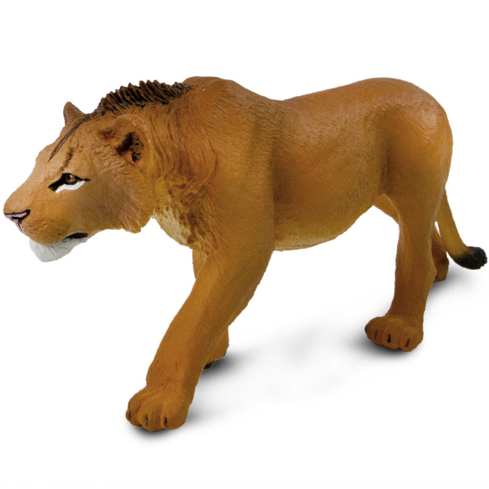 Adolescent Male Lion Toy Figure |  | Safari Ltd®