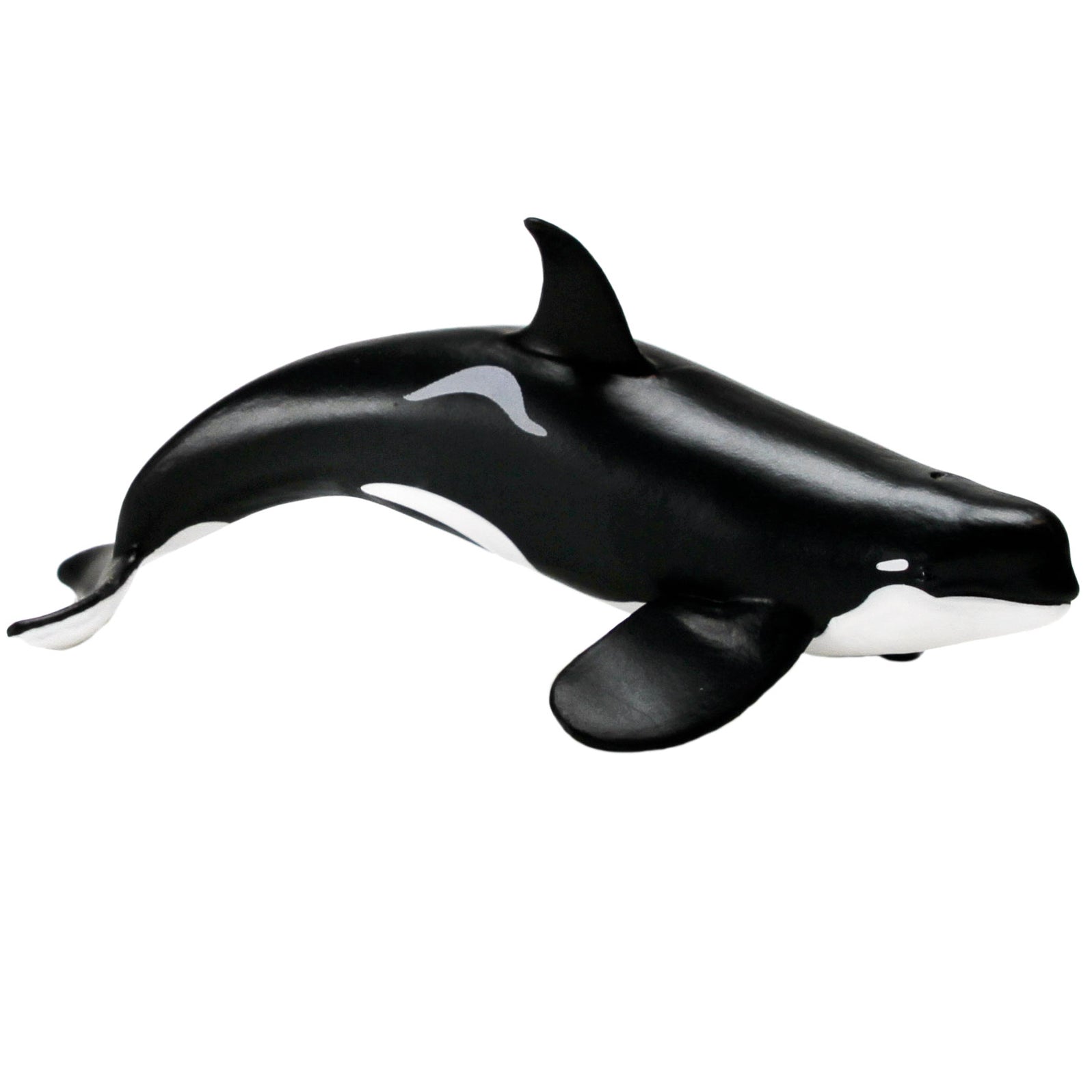 Wild Safari® Sea Life | Sea Animal Figurines | Safari Ltd®