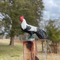 Phoenix Rooster