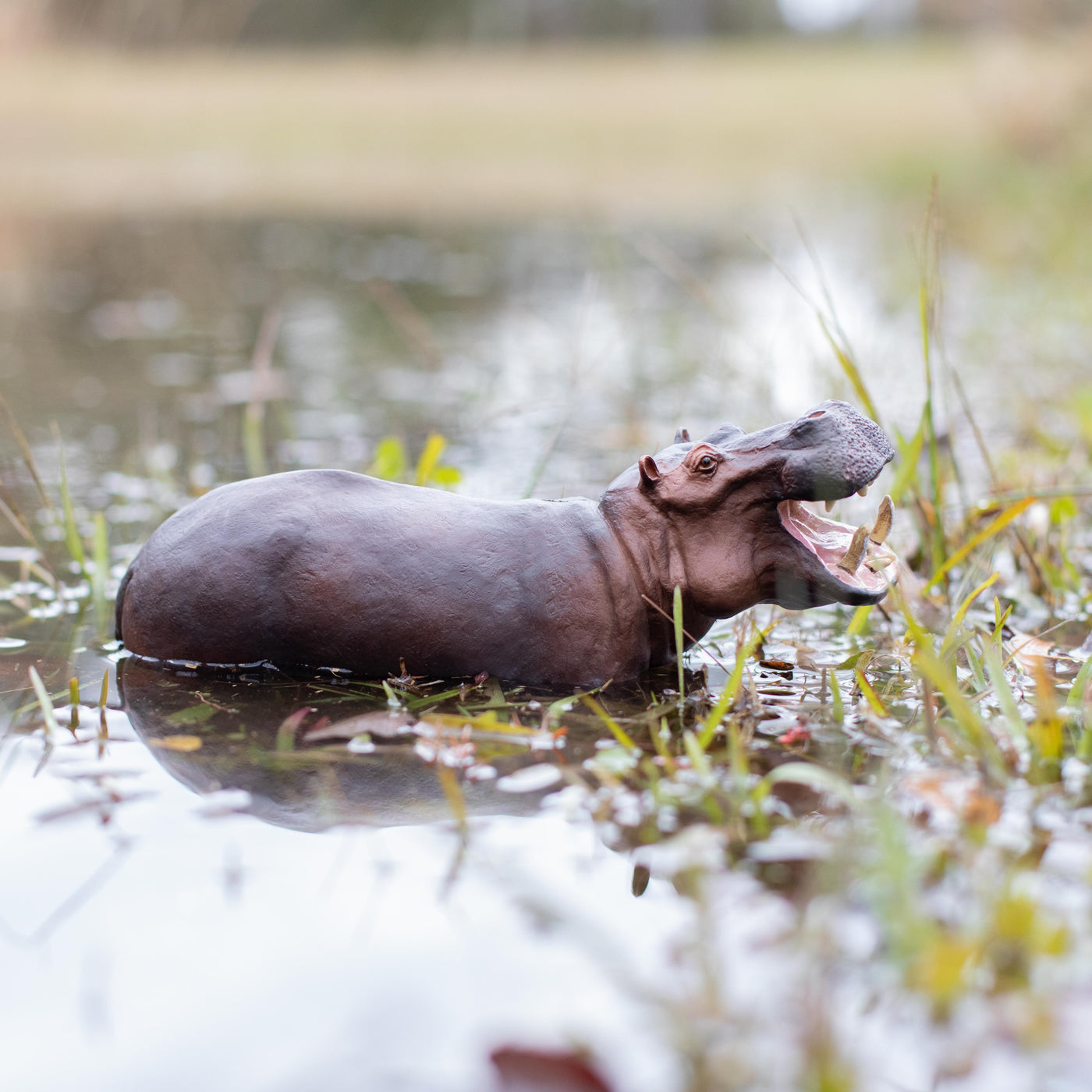 Hippopotamus Toy | Wildlife Animal Toys | Safari Ltd®