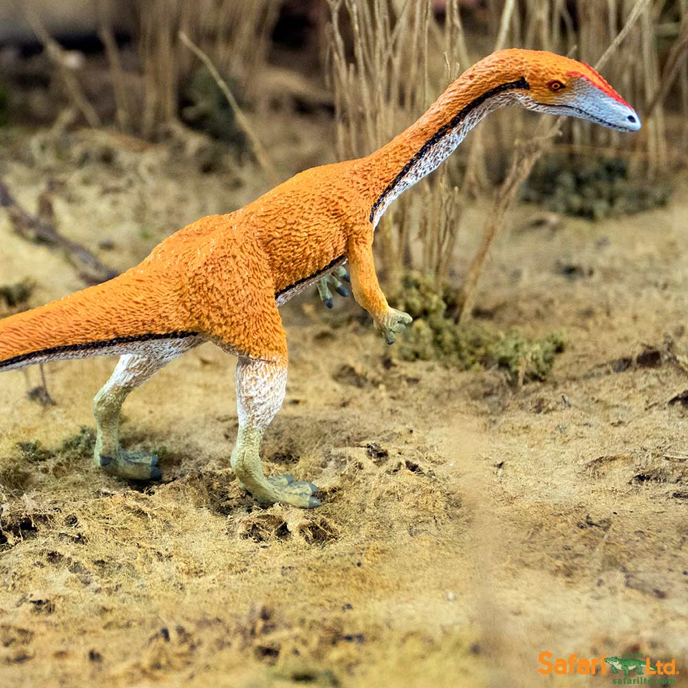 Coelophysis Toy