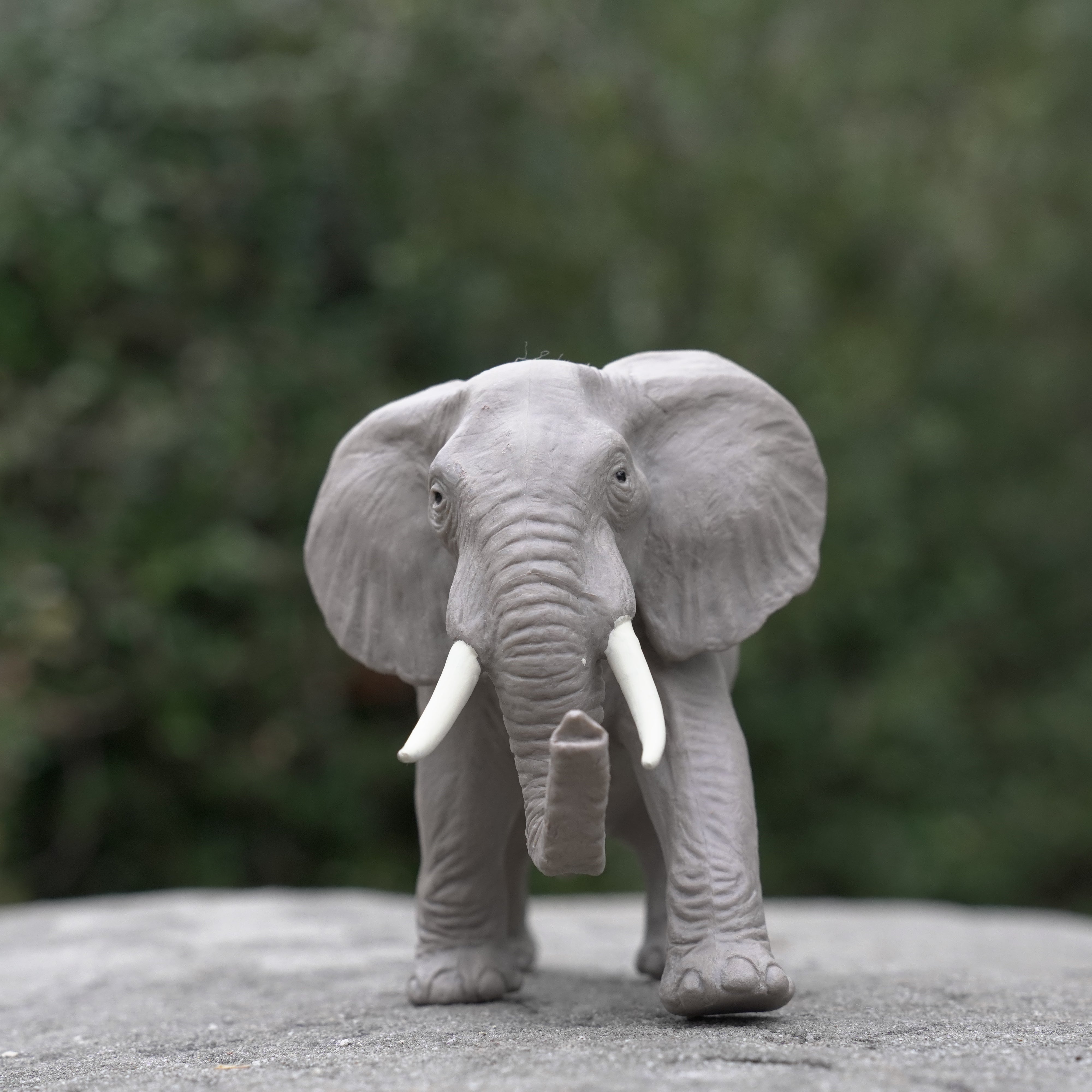 African Elephant Toy