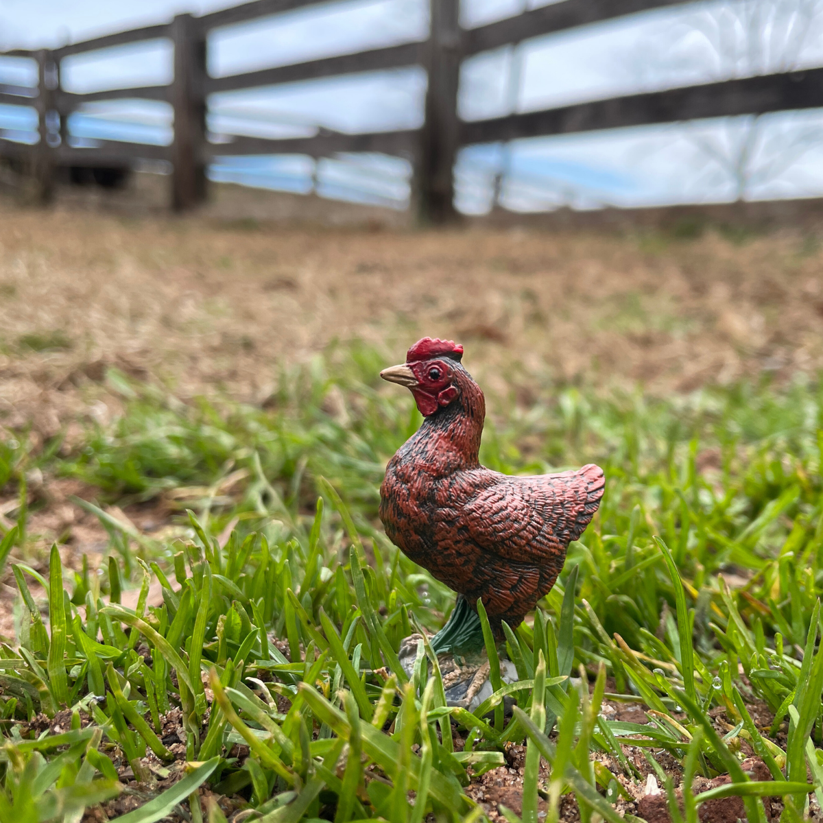 Bantam Hen Toy