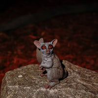 Bush Baby Toy | Incredible Creatures | Safari Ltd®