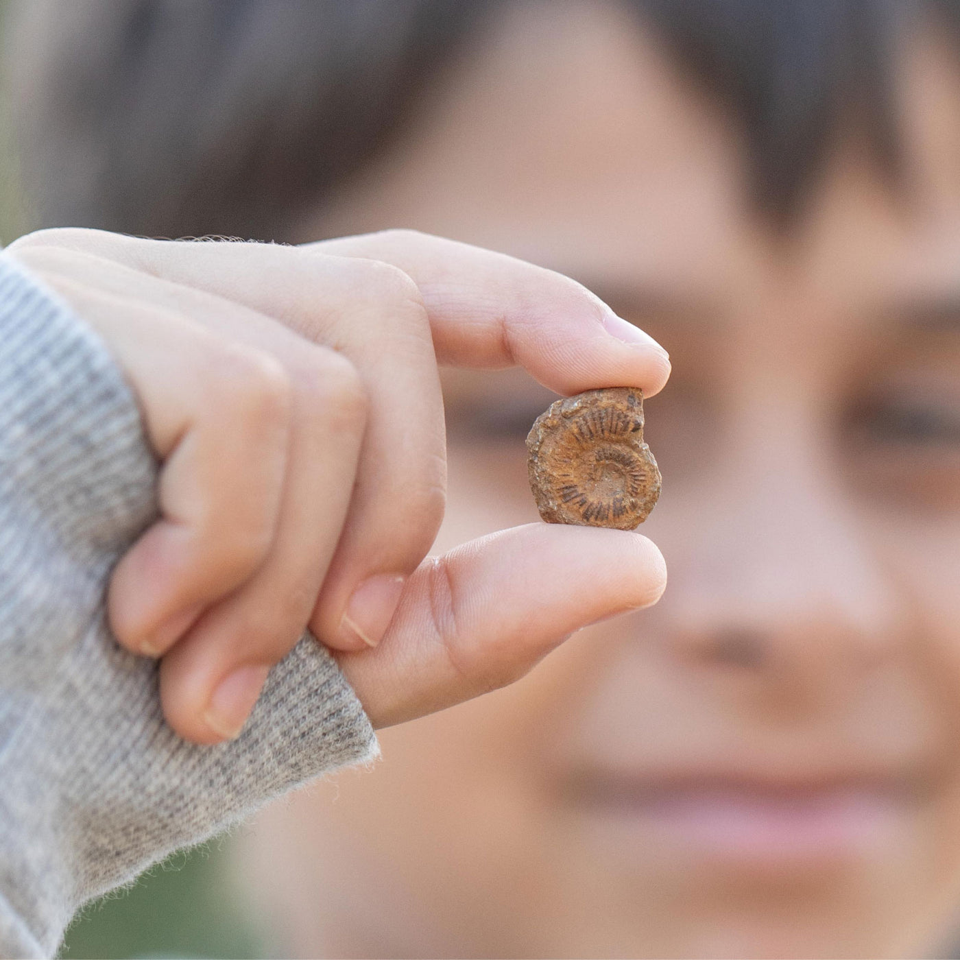 Dr. Steve Hunters Fossils from All Over the World  - 10 Fossils Science & Education Toy Set |  | Safari Ltd®