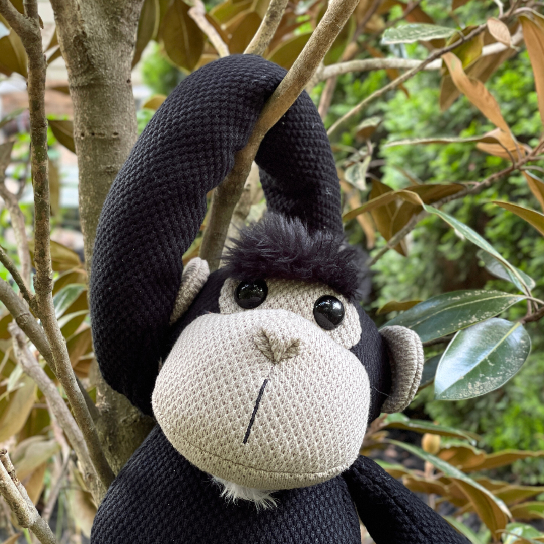 Jane's Greybeard the Chimpanzee - Full Size Plush Toy |  | Safari Ltd®