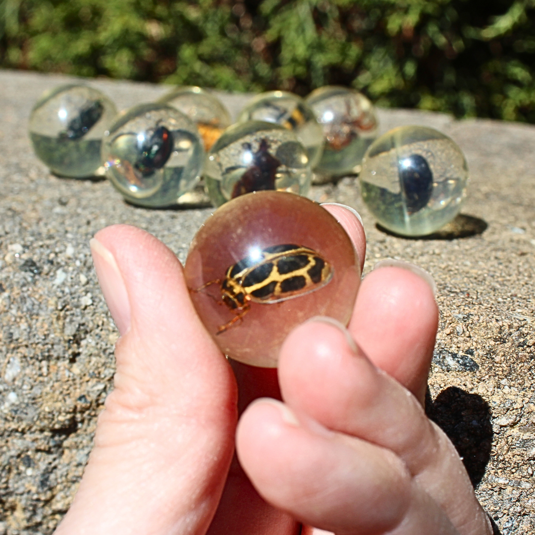 Safari Ltd Geoworld Bug Marbles | Geoworld | Safari Ltd®