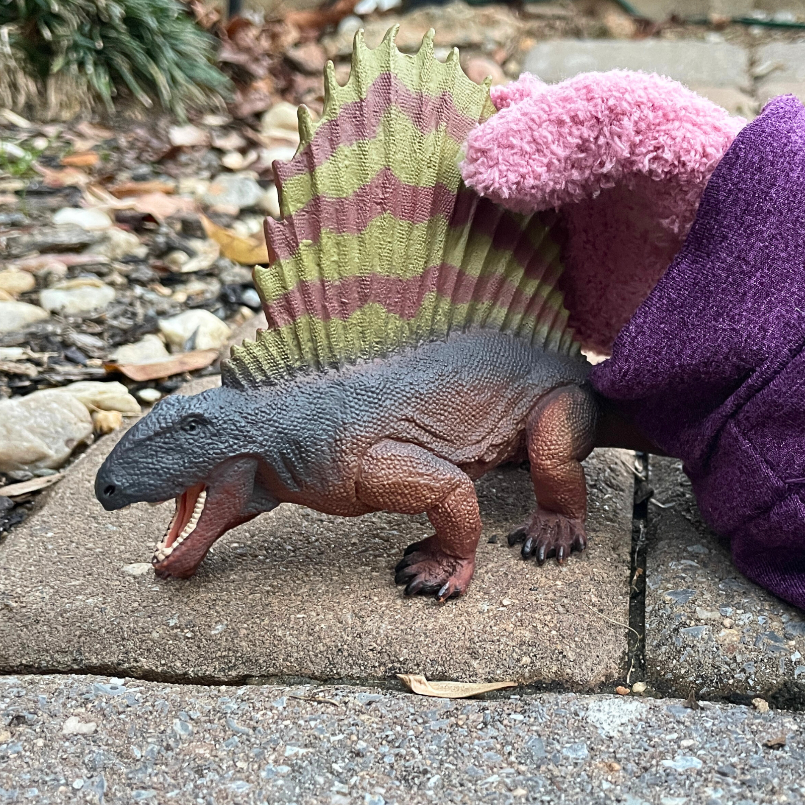 Dimetrodon Toy