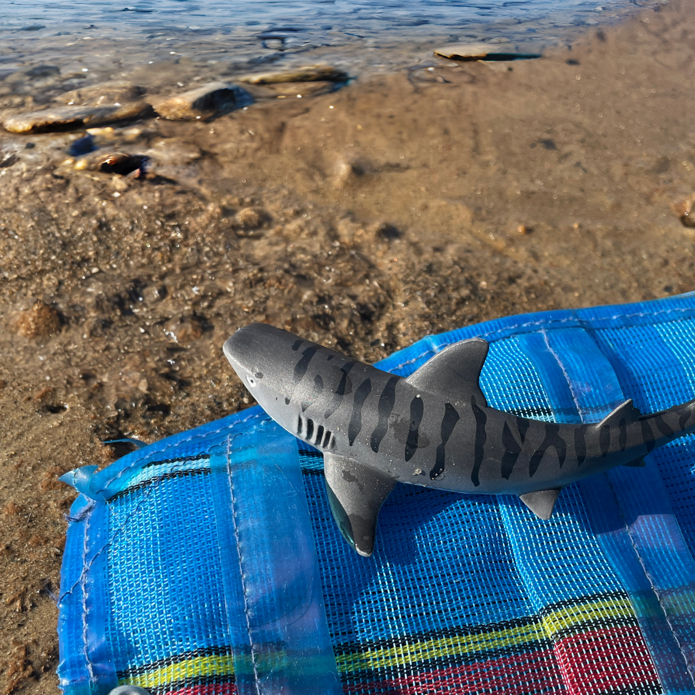 Tiger Shark Toy