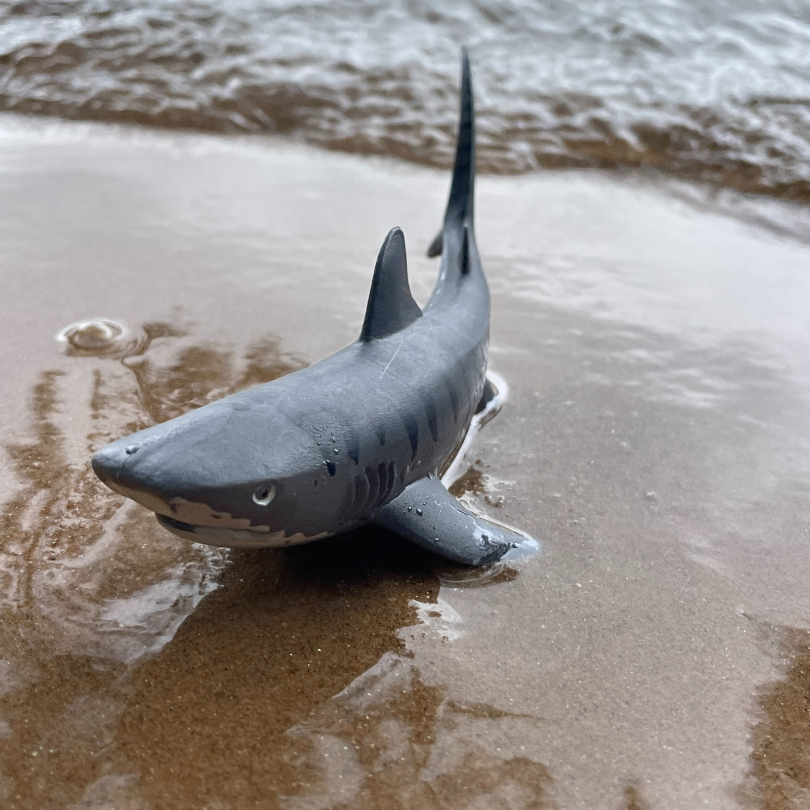 Tiger Shark Toy