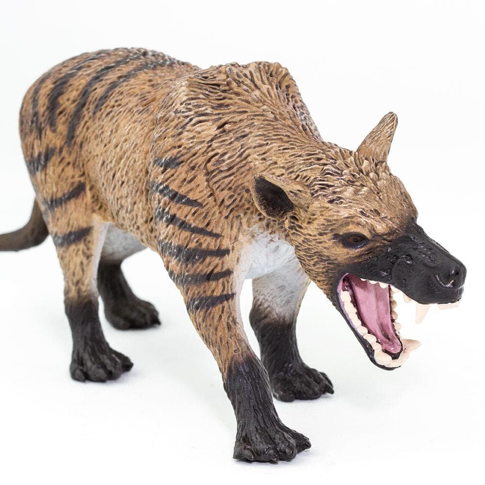 Hyaenodon Gigas Toy | Dinosaur Toys | Safari Ltd.