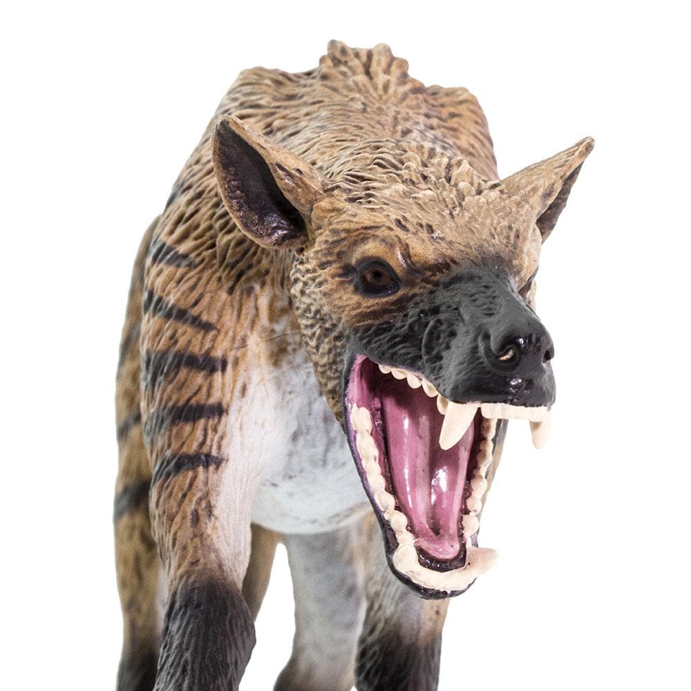 Hyaenodon Gigas Toy | Dinosaur Toys | Safari Ltd.