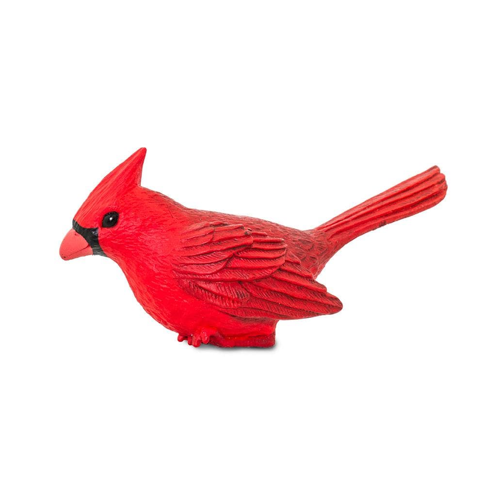 Cardinal - Safari Ltd®