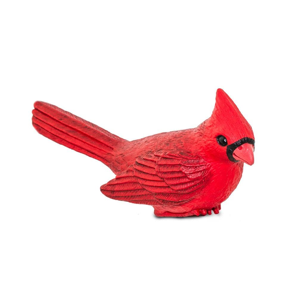 Cardinal - Safari Ltd®