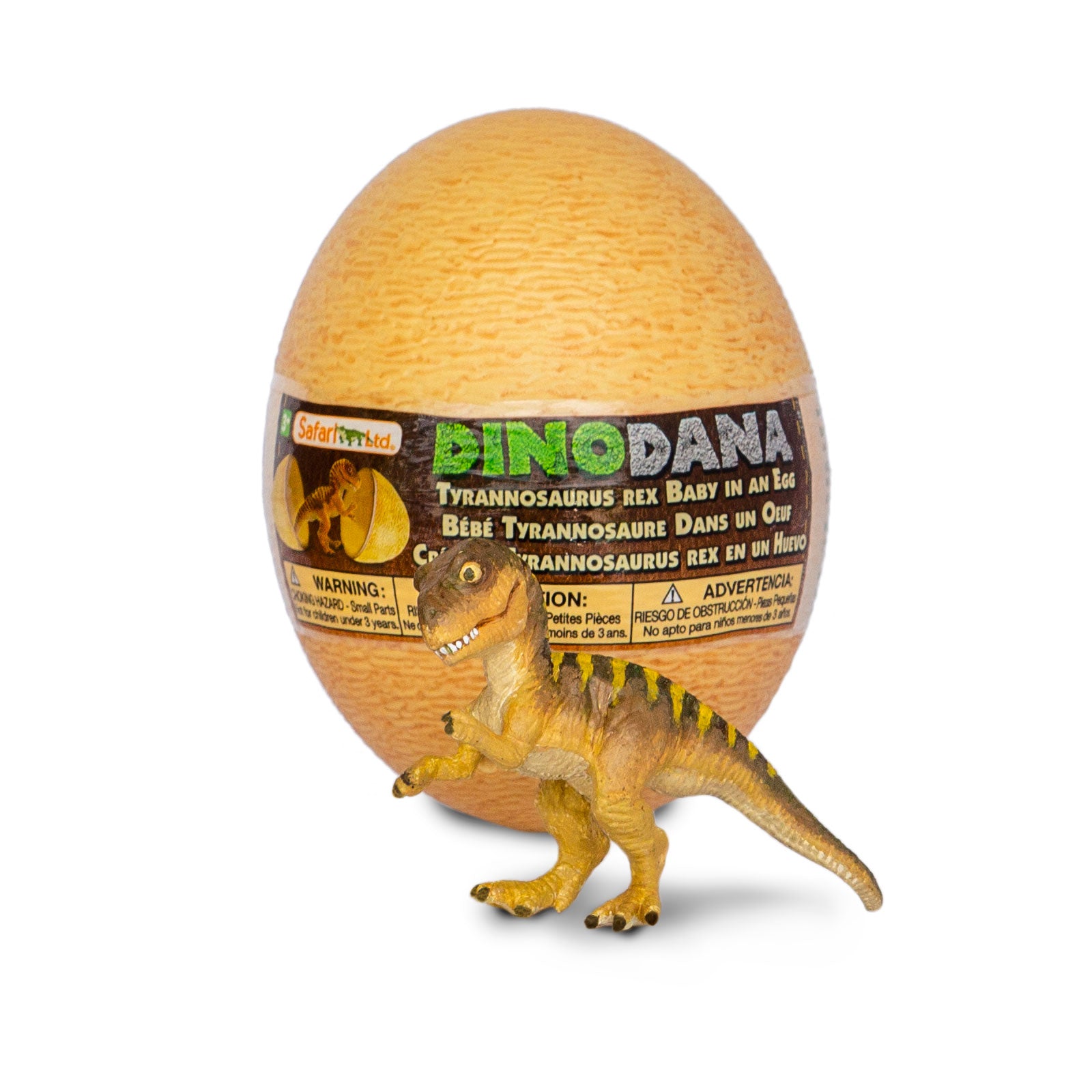 Estudo revela que bebê de Tiranossauro rex tinha tamanho de um