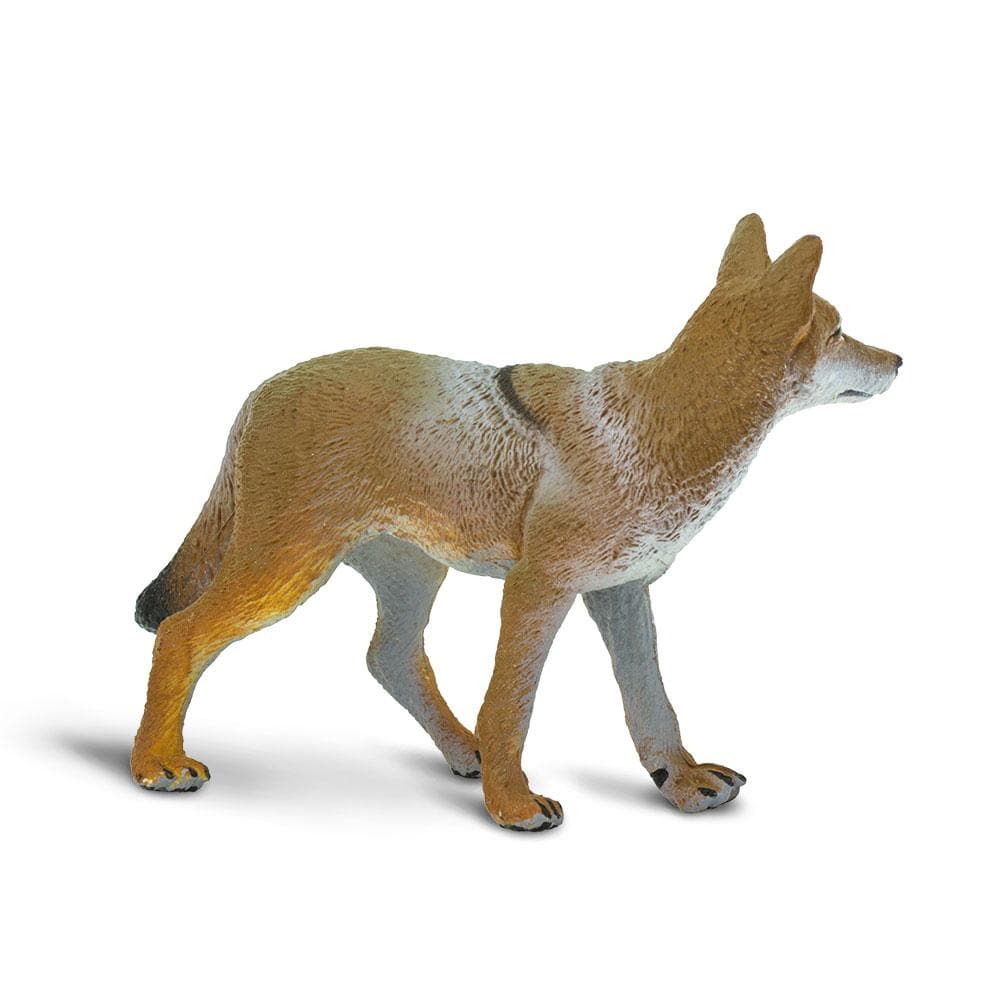 Coyote Toy | Wildlife Animal Toys | Safari Ltd.