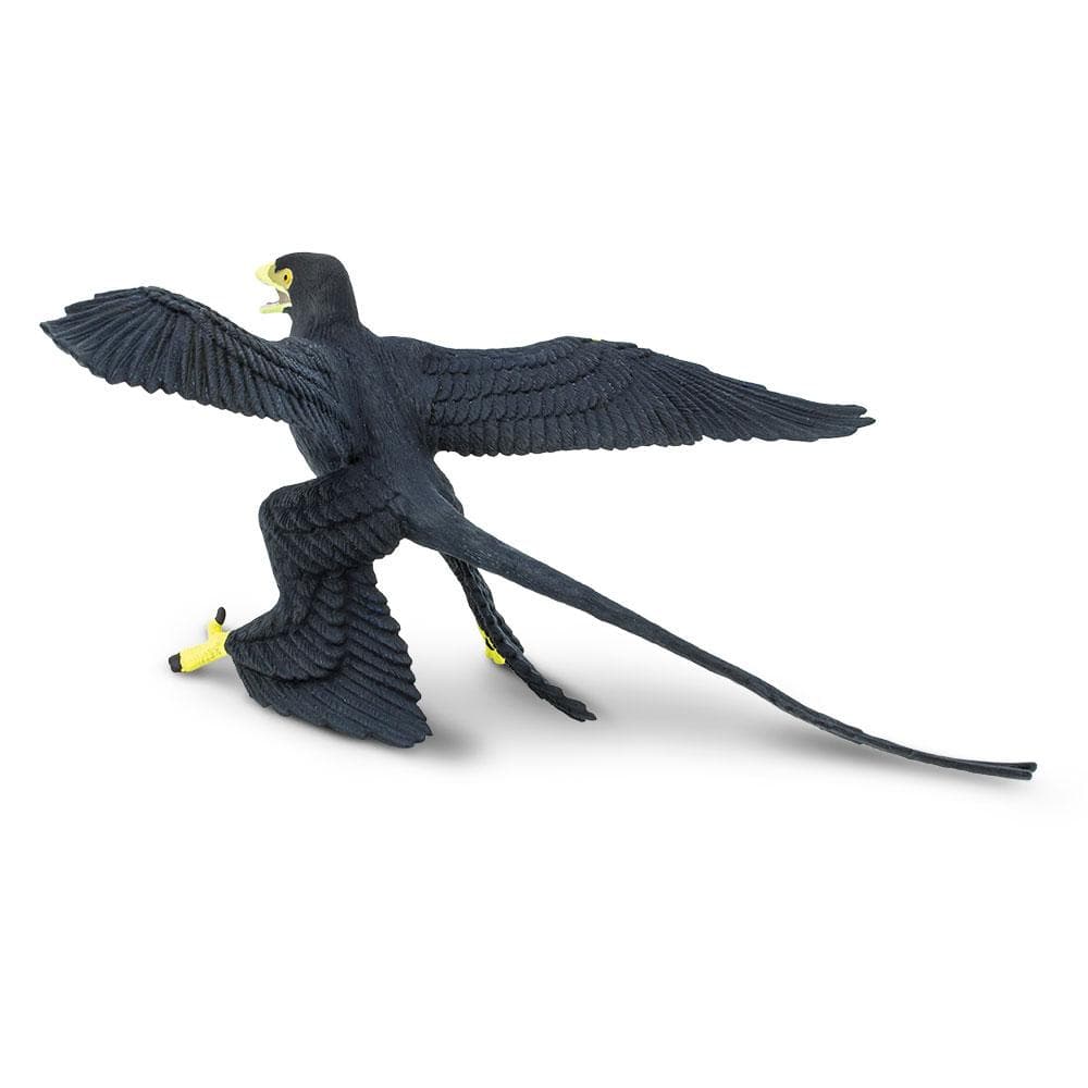 Microraptor Toy | Dinosaur Toys | Safari Ltd.