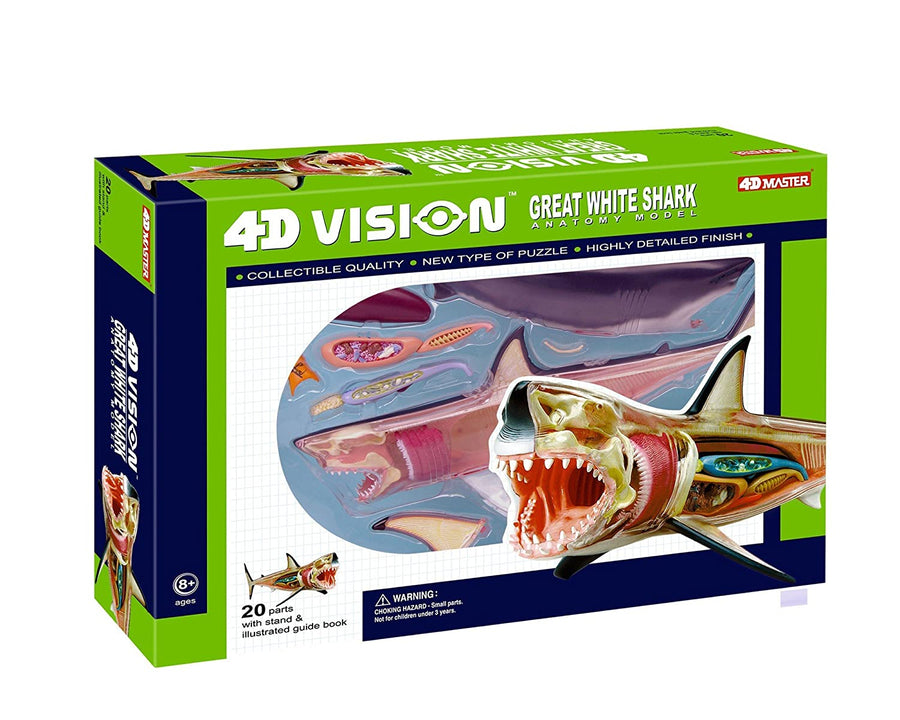 4D Vision Great White Anatomy Model - Safari Ltd®