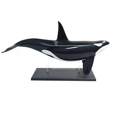 4D Vision Orca Anatomy Model | | Safari Ltd®