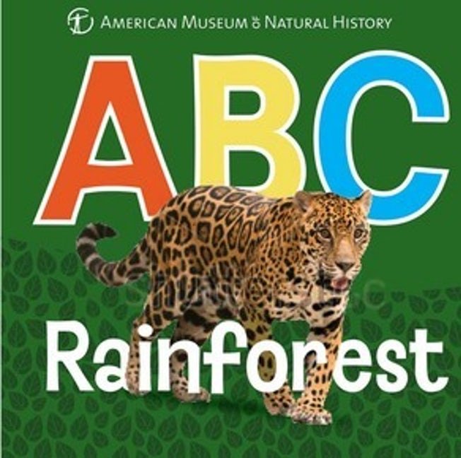 ABC Rainforest Book - Safari Ltd®