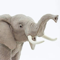 African Elephant Toy | Wildlife Animal Toys | Safari Ltd.