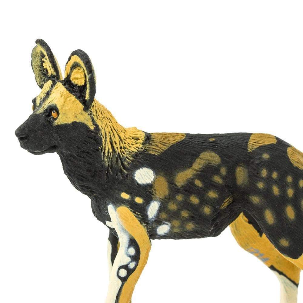 African Wild Dog Toy | Wildlife Animal Toys | Safari Ltd.