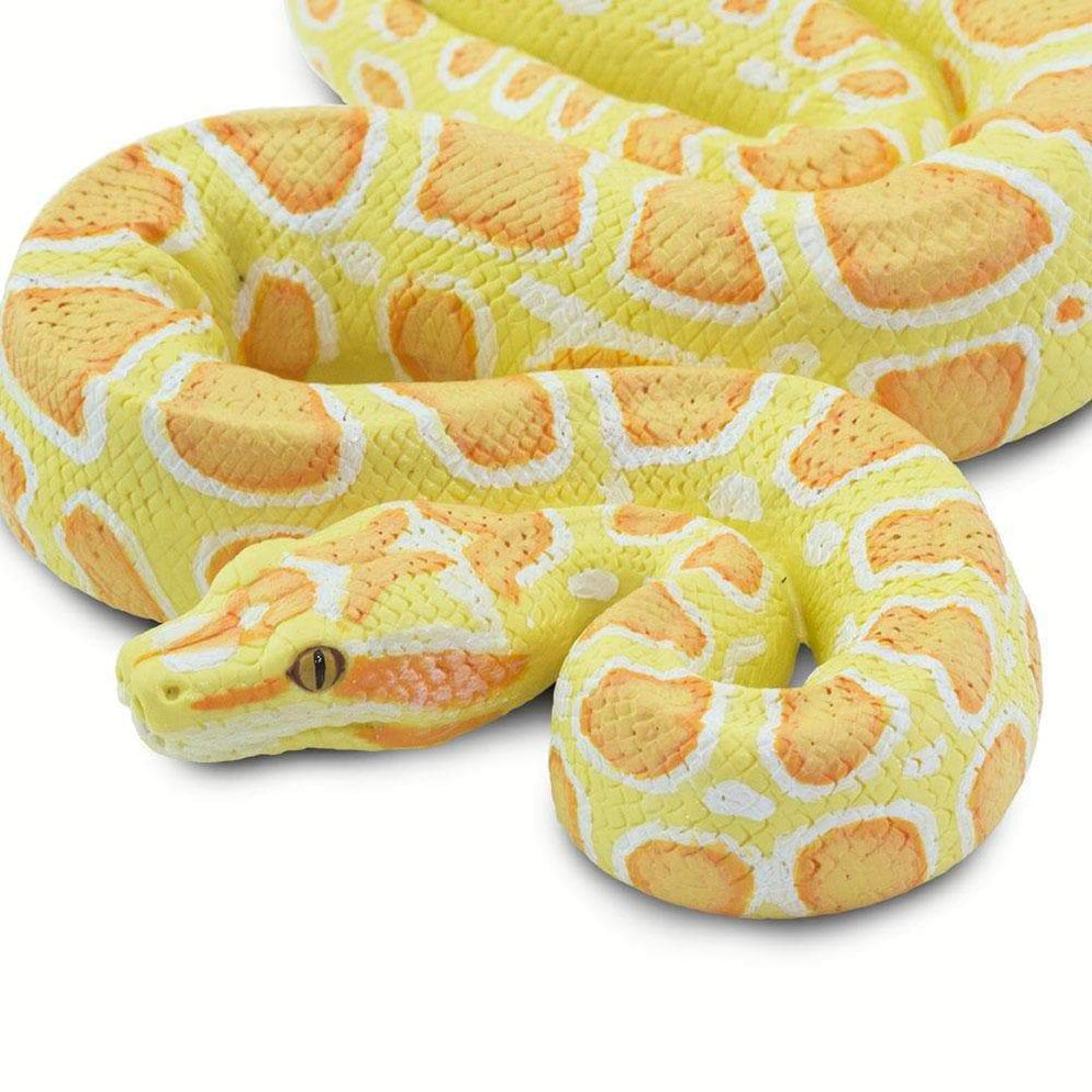 Albino Burmese Python Toy | Incredible Creatures | Safari Ltd®