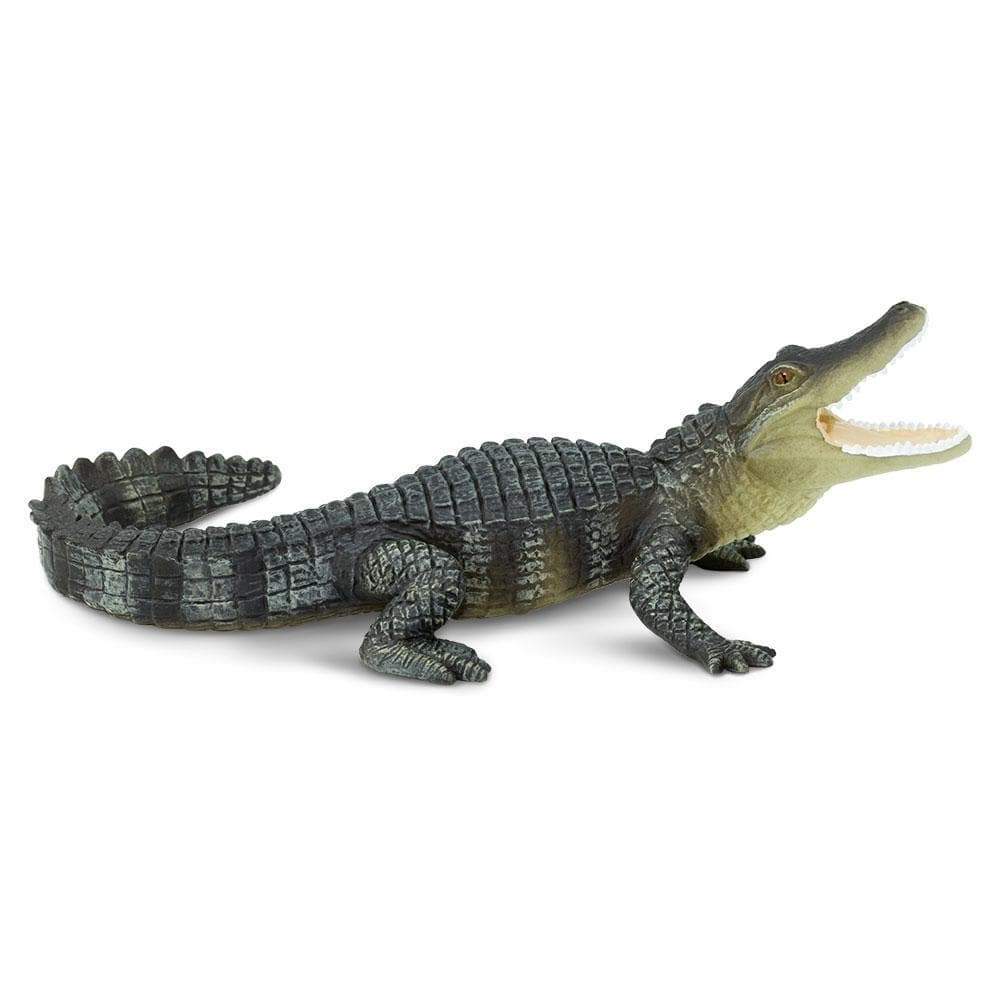 Alligator Toy | Wildlife Animal Toys | Safari Ltd.