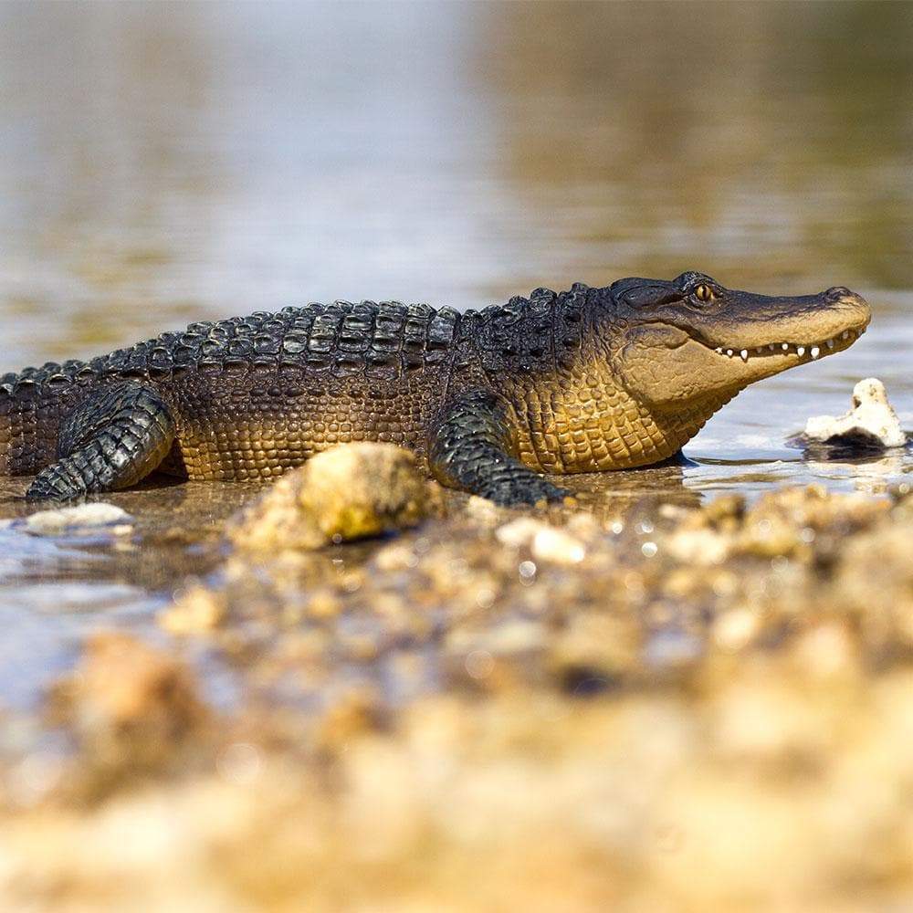 Alligator Toy | Wildlife Animal Toys | Safari Ltd.