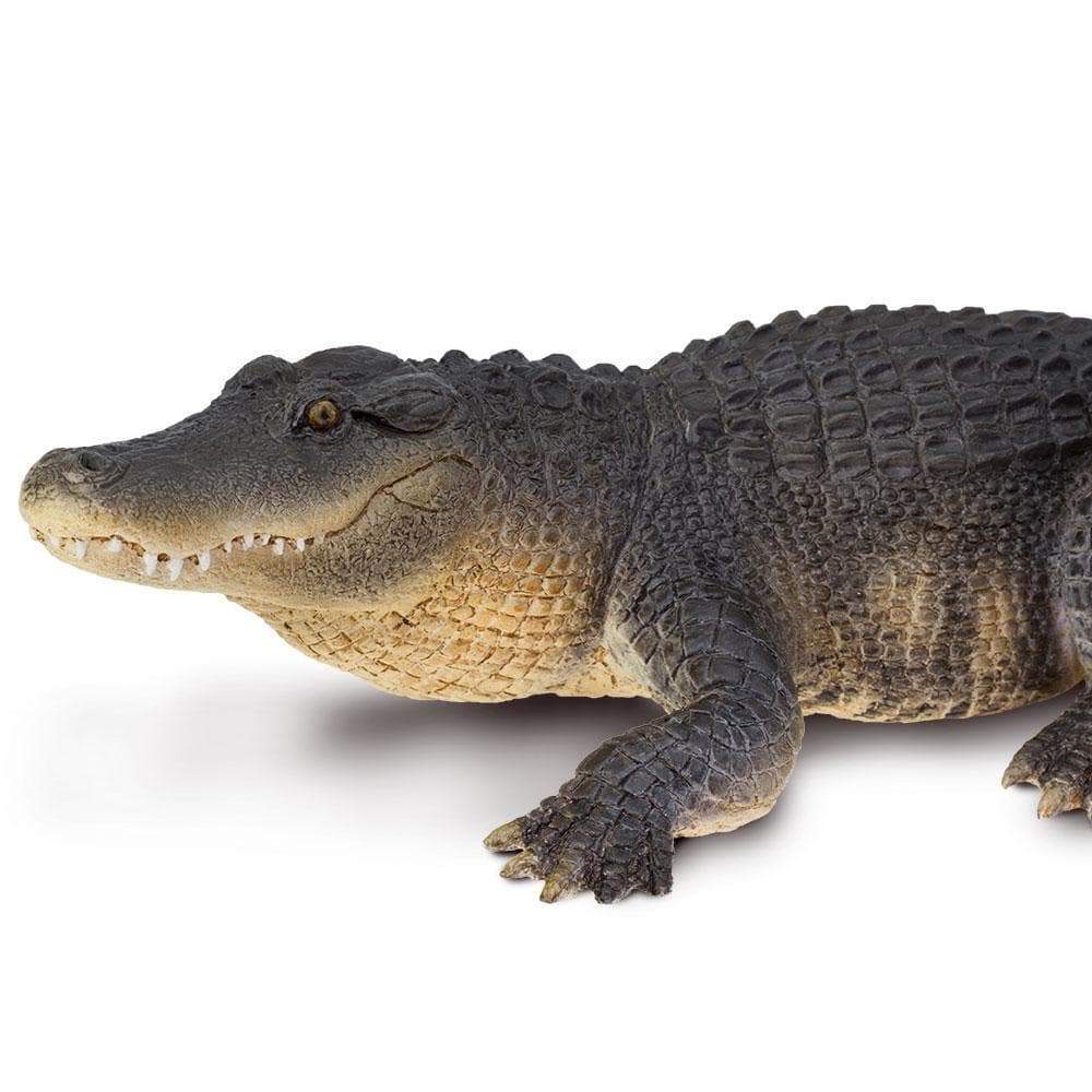 Alligator Toy | Wildlife Animal Toys | Safari Ltd.