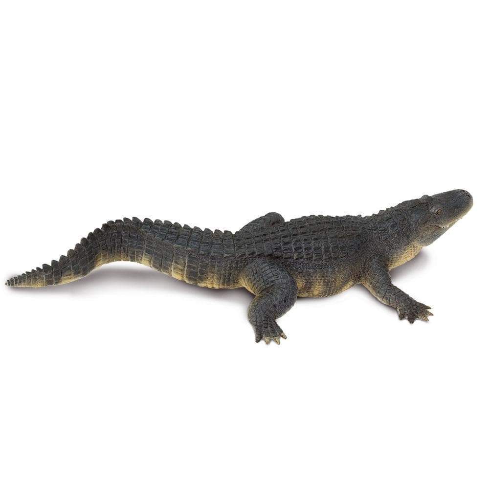 Alligator Toy | Wildlife Animal Toys | Safari Ltd.