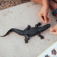 Alligator Toy - Safari Ltd®