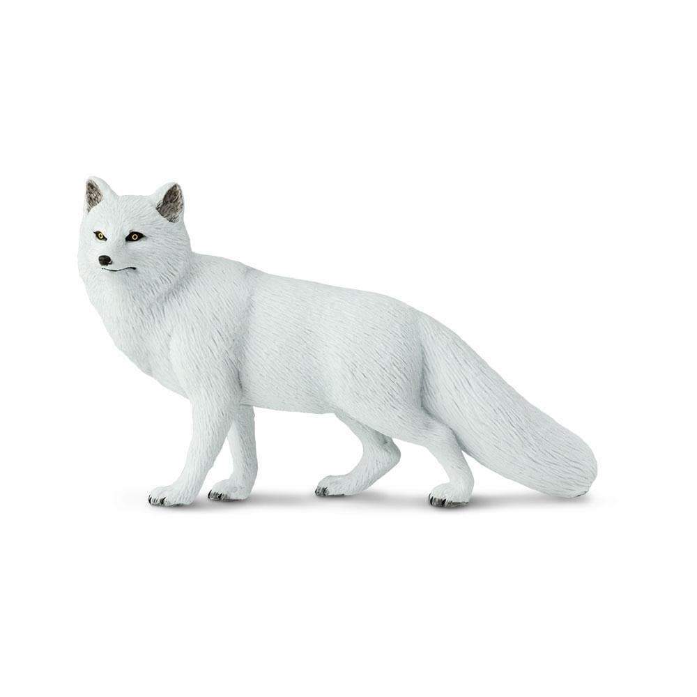 white pet fox