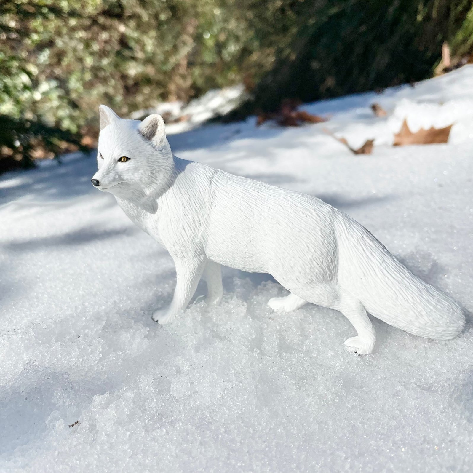 Arctic Fox Toy | Wildlife Animal Toys | Safari Ltd®