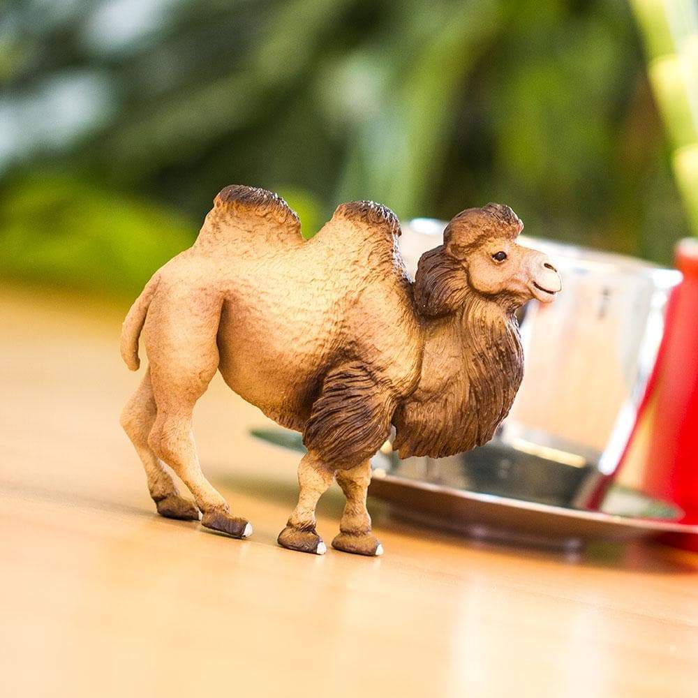 Bactrian Camel Toy | Wildlife Animal Toys | Safari Ltd.