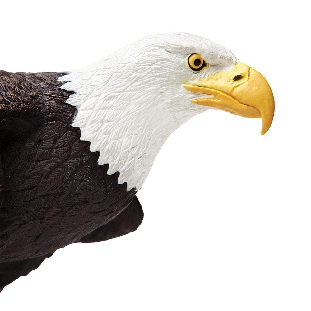 Bald Eagle - Safari Ltd®