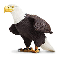 Bald Eagle - Safari Ltd®