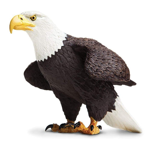 Safari Ltd Harpy Eagle : : Toys & Games