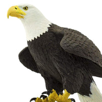 Bald Eagle - Safari Ltd®