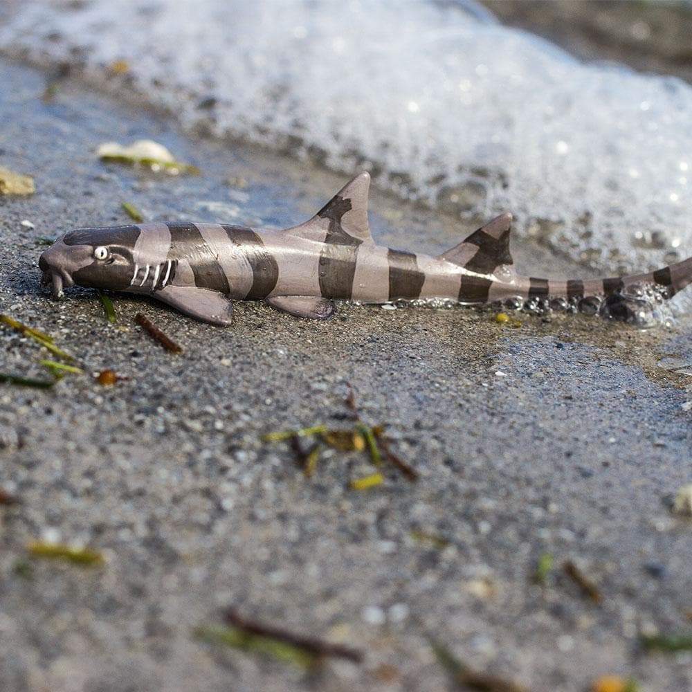 Bamboo Shark Toy - Sea Life Toys by Safari Ltd.