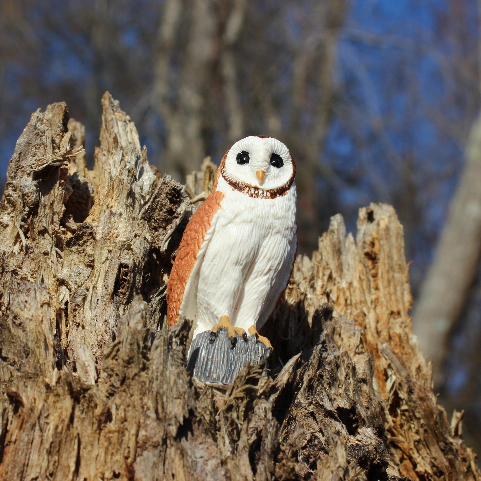 Barn Owl - Safari Ltd®