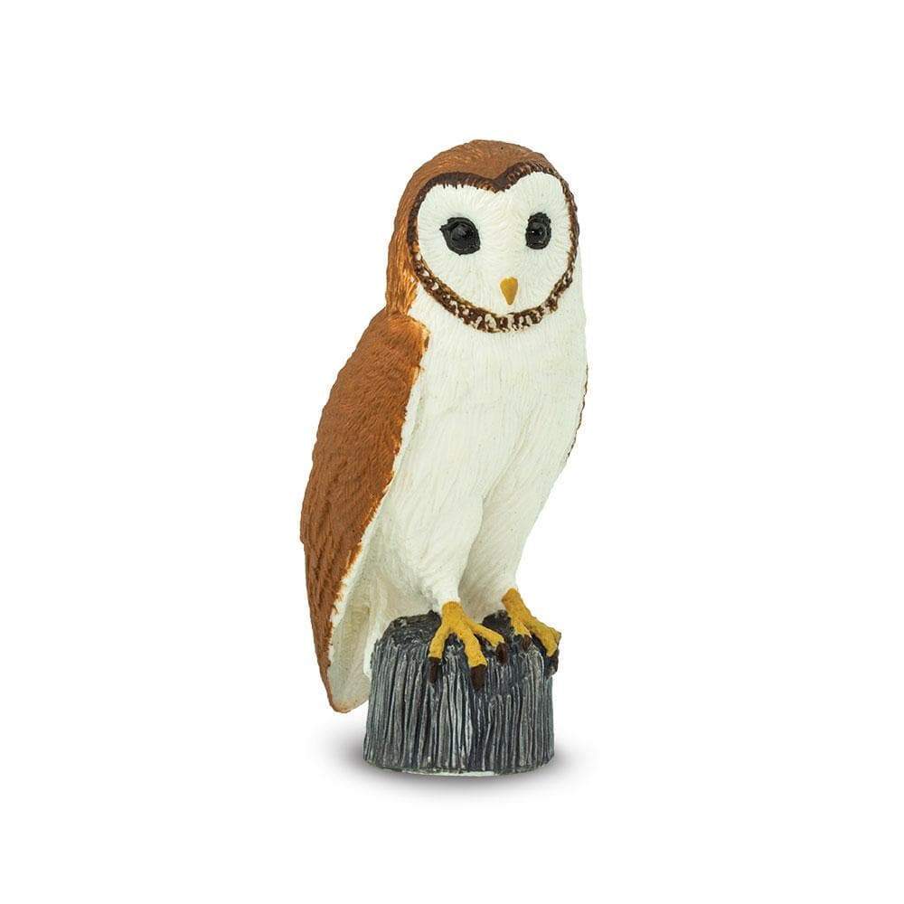 Barn Owl Toy | Wildlife Animal Toys | Safari Ltd.