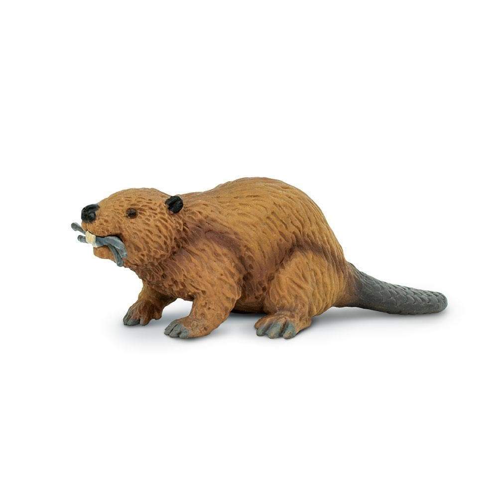 Safari sales ltd beaver