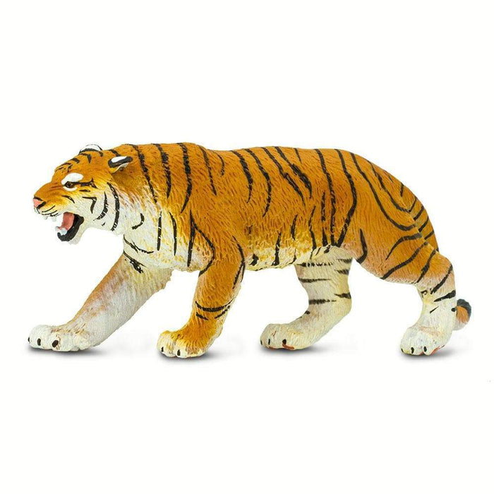 tiger animal