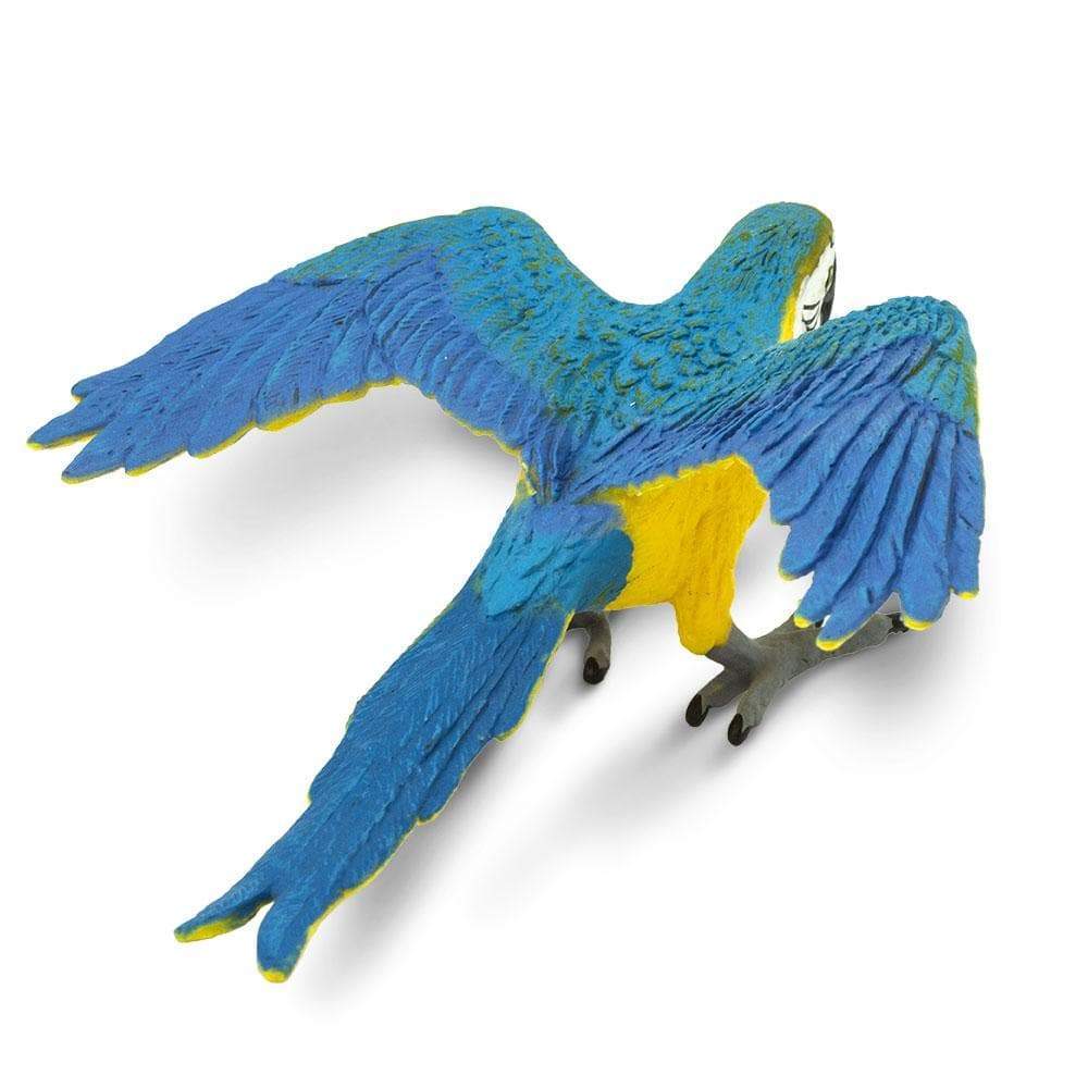 Blue &amp; Gold Macaw Toy | Wildlife Animal Toys | Safari Ltd.